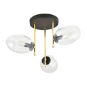 ARGO 3 Black Amber