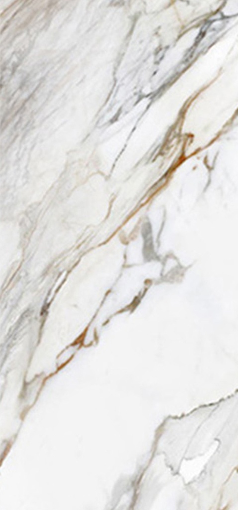 Porcelain — Calacatta Paonazzo 1500 x 3200 - 20mm