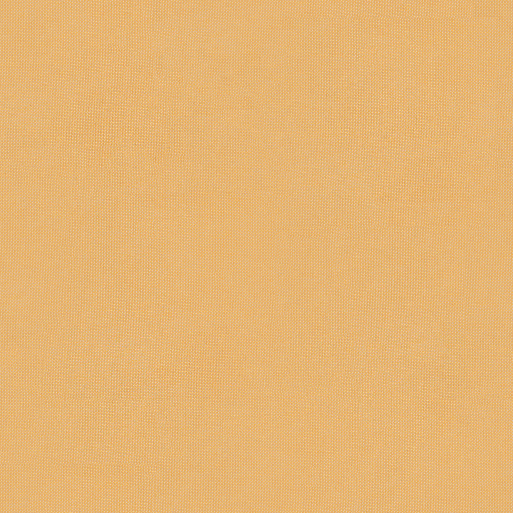 Vorhang FR E3419 Kollektion